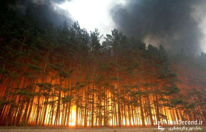  آتش سوزی در جنگلهای روسیه   