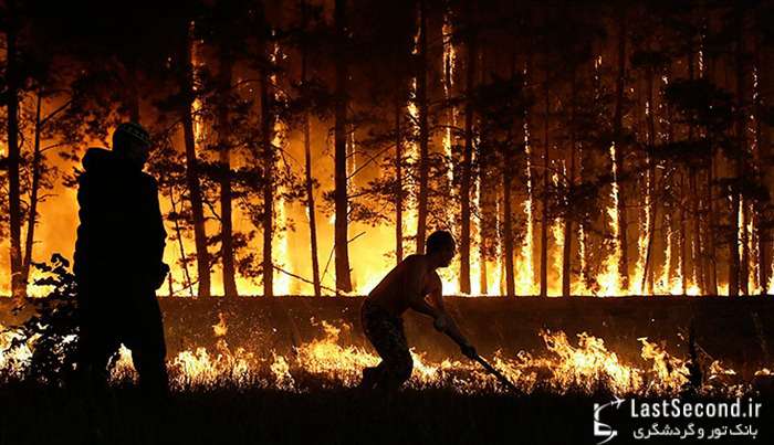  آتش سوزی در جنگلهای روسیه   